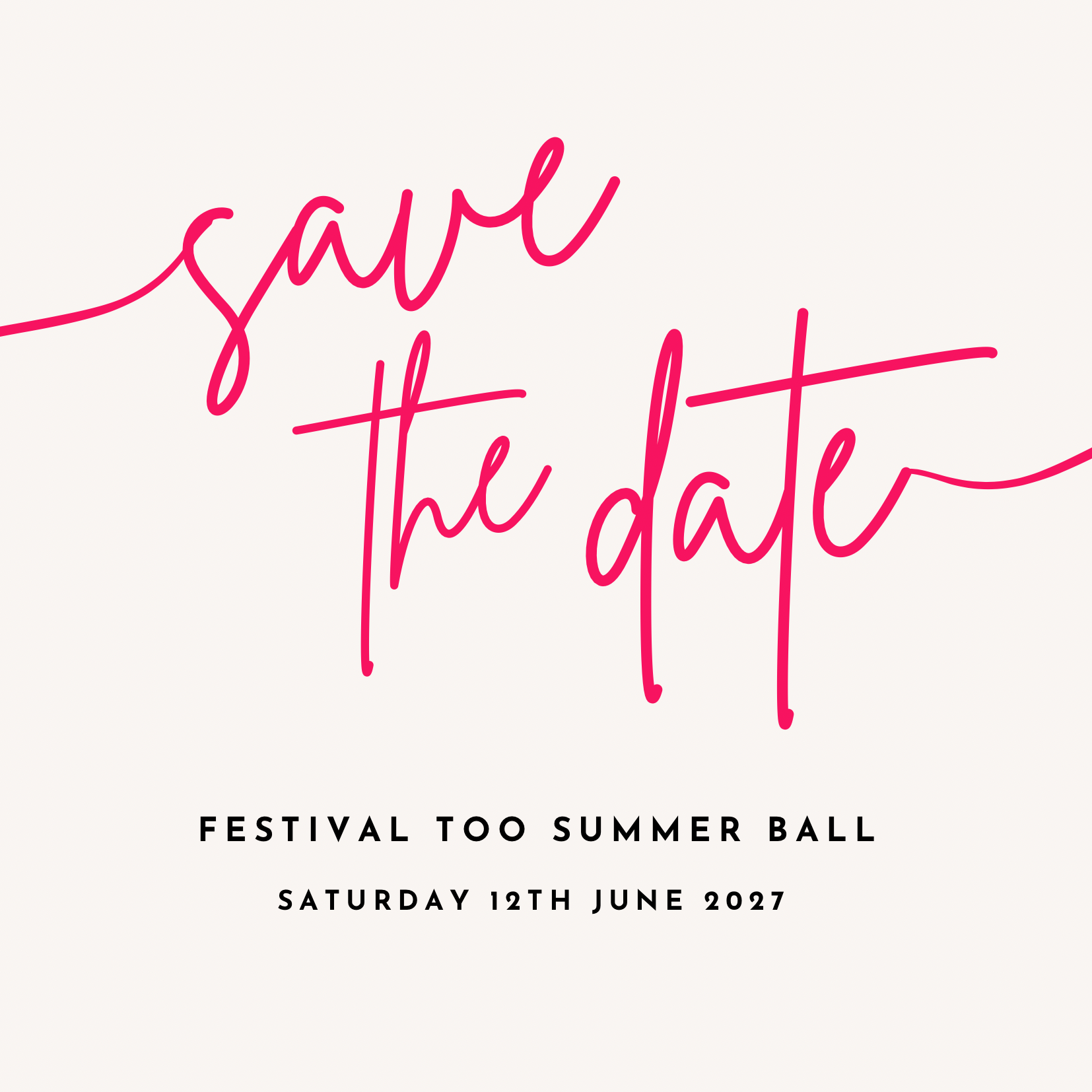Fundraiser at The Festival Too Summer Ball